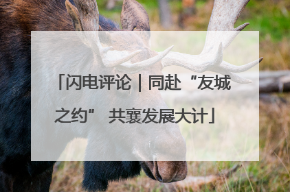闪电评论｜同赴“友城之约” 共襄发展大计