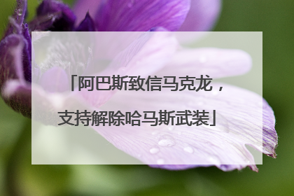 阿巴斯致信马克龙，支持解除哈马斯武装