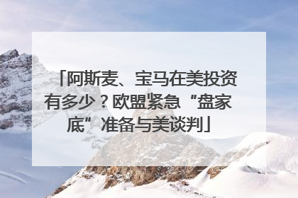 阿斯麦、宝马在美投资有多少？欧盟紧急“盘家底”准备与美谈判