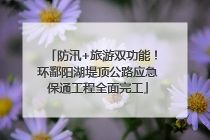 防汛+旅游双功能！环鄱阳湖堤顶公路应急保通工程全面完工