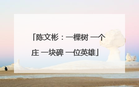 陈文彬：一棵树 一个庄 一块碑 一位英雄