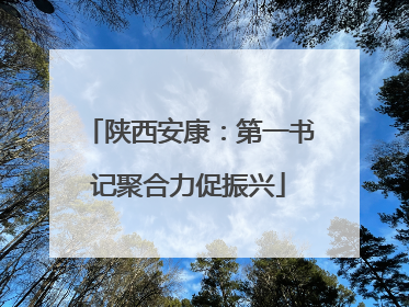 陕西安康：第一书记聚合力促振兴
