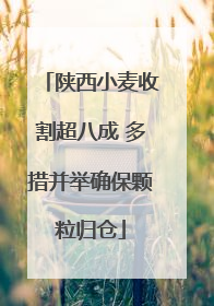 陕西小麦收割超八成 多措并举确保颗粒归仓