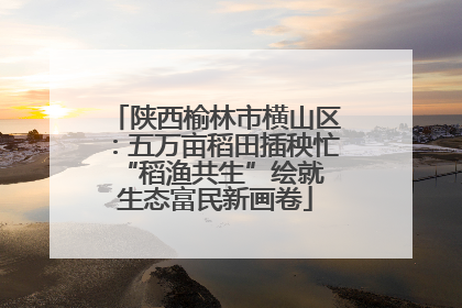 陕西榆林市横山区：五万亩稻田插秧忙 “稻渔共生”绘就生态富民新画卷