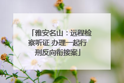 雅安名山：远程检察听证 办理一起行刑反向衔接案