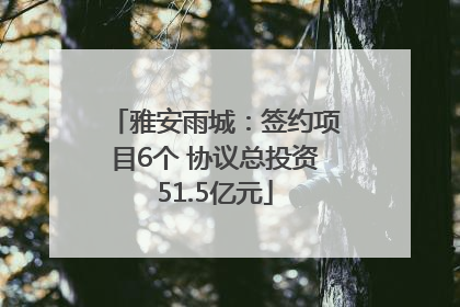 雅安雨城：签约项目6个 协议总投资51.5亿元