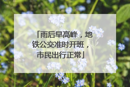 雨后早高峰，地铁公交准时开班，市民出行正常