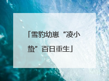 雪豹幼崽“凌小蛰”百日重生