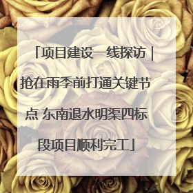 项目建设一线探访｜抢在雨季前打通关键节点 东南退水明渠四标段项目顺利完工