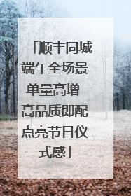 顺丰同城端午全场景单量高增 高品质即配点亮节日仪式感