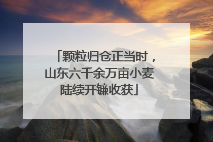 颗粒归仓正当时，山东六千余万亩小麦陆续开镰收获