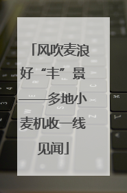 风吹麦浪好“丰”景——多地小麦机收一线见闻