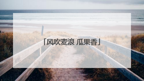 风吹麦浪 瓜果香
