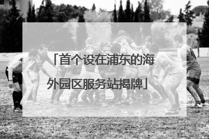 首个设在浦东的海外园区服务站揭牌