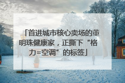 首进城市核心卖场的董明珠健康家，正撕下“格力=空调”的标签