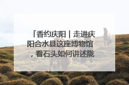 香约庆阳｜走进庆阳合水县这座博物馆，看石头如何讲述陇东千年历史