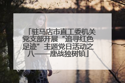 驻马店市直工委机关党支部开展“追寻红色足迹”主题党日活动之八——鏖战独树镇