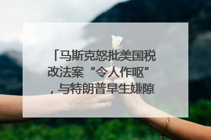 马斯克怒批美国税改法案“令人作呕”，与特朗普早生嫌隙？｜国际识局