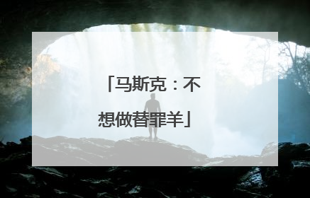 马斯克：不想做替罪羊