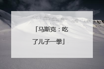 马斯克：吃了儿子一拳