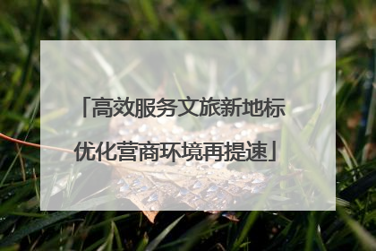 高效服务文旅新地标 优化营商环境再提速
