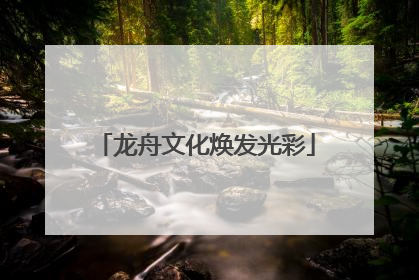 龙舟文化焕发光彩