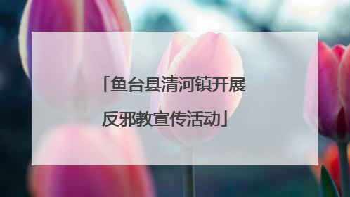 鱼台县清河镇开展反邪教宣传活动