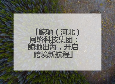 鲸驰（河北）网络科技集团：鲸驰出海，开启跨境新航程