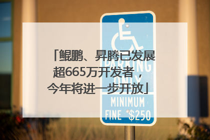 鲲鹏、昇腾已发展超665万开发者，今年将进一步开放