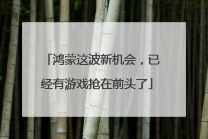 鸿蒙这波新机会，已经有游戏抢在前头了