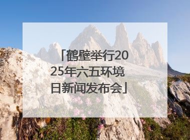 鹤壁举行2025年六五环境日新闻发布会