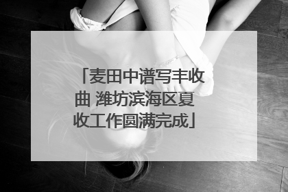 麦田中谱写丰收曲 潍坊滨海区夏收工作圆满完成