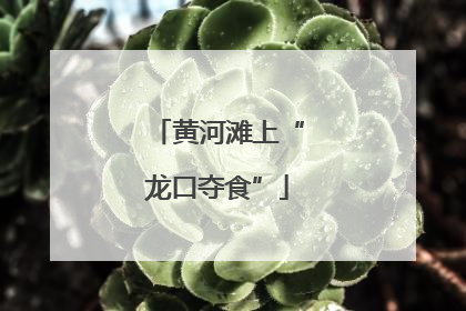 黄河滩上“龙口夺食”