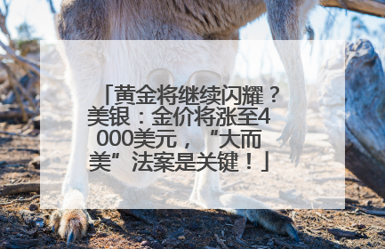 黄金将继续闪耀？美银：金价将涨至4000美元，“大而美”法案是关键！