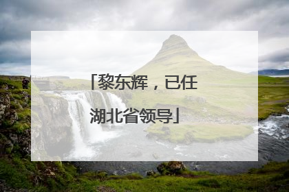 黎东辉，已任湖北省领导