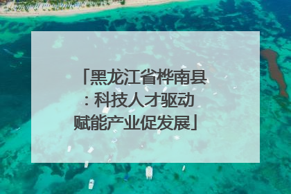 黑龙江省桦南县：科技人才驱动 赋能产业促发展