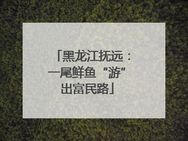 黑龙江抚远：一尾鲜鱼“游”出富民路