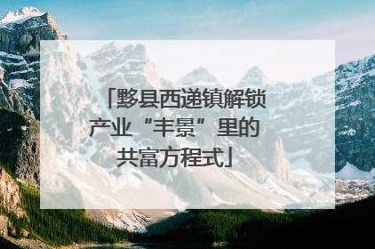 黟县西递镇解锁产业“丰景”里的共富方程式
