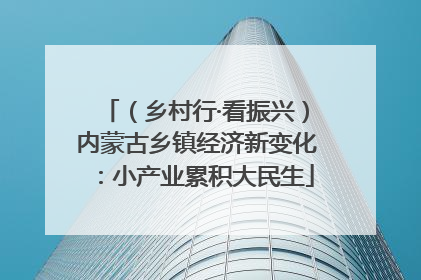 （乡村行·看振兴）内蒙古乡镇经济新变化：小产业累积大民生