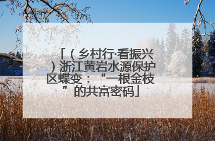 （乡村行·看振兴）浙江黄岩水源保护区蝶变：“一根金枝”的共富密码