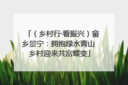 （乡村行·看振兴）畲乡景宁：拥抱绿水青山 乡村迎来共富蝶变