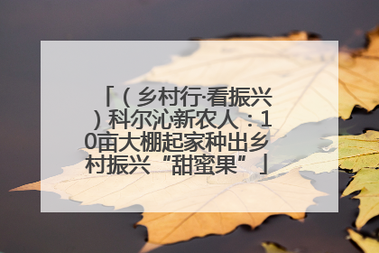 （乡村行·看振兴）科尔沁新农人：10亩大棚起家种出乡村振兴“甜蜜果”