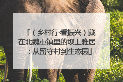 （乡村行·看振兴）藏在北魏重镇里的坝上雅居：从留守村到生态园