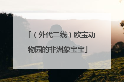 （外代二线）欧宝动物园的非洲象宝宝