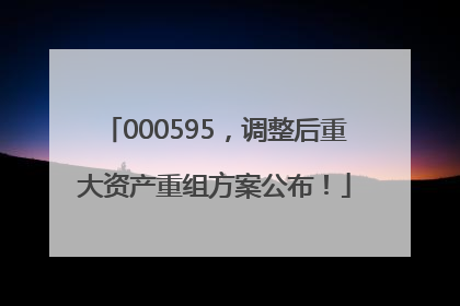 000595，调整后重大资产重组方案公布！