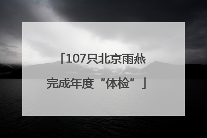 107只北京雨燕完成年度“体检”