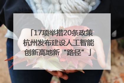 17项举措20条政策 杭州发布建设人工智能创新高地新“路径”