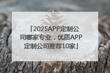 2025APP定制公司哪家专业，优质APP定制公司推荐10家