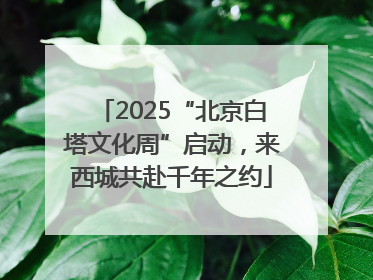 2025“北京白塔文化周”启动，来西城共赴千年之约
