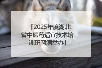 2025年度湖北省中医药适宜技术培训班圆满举办